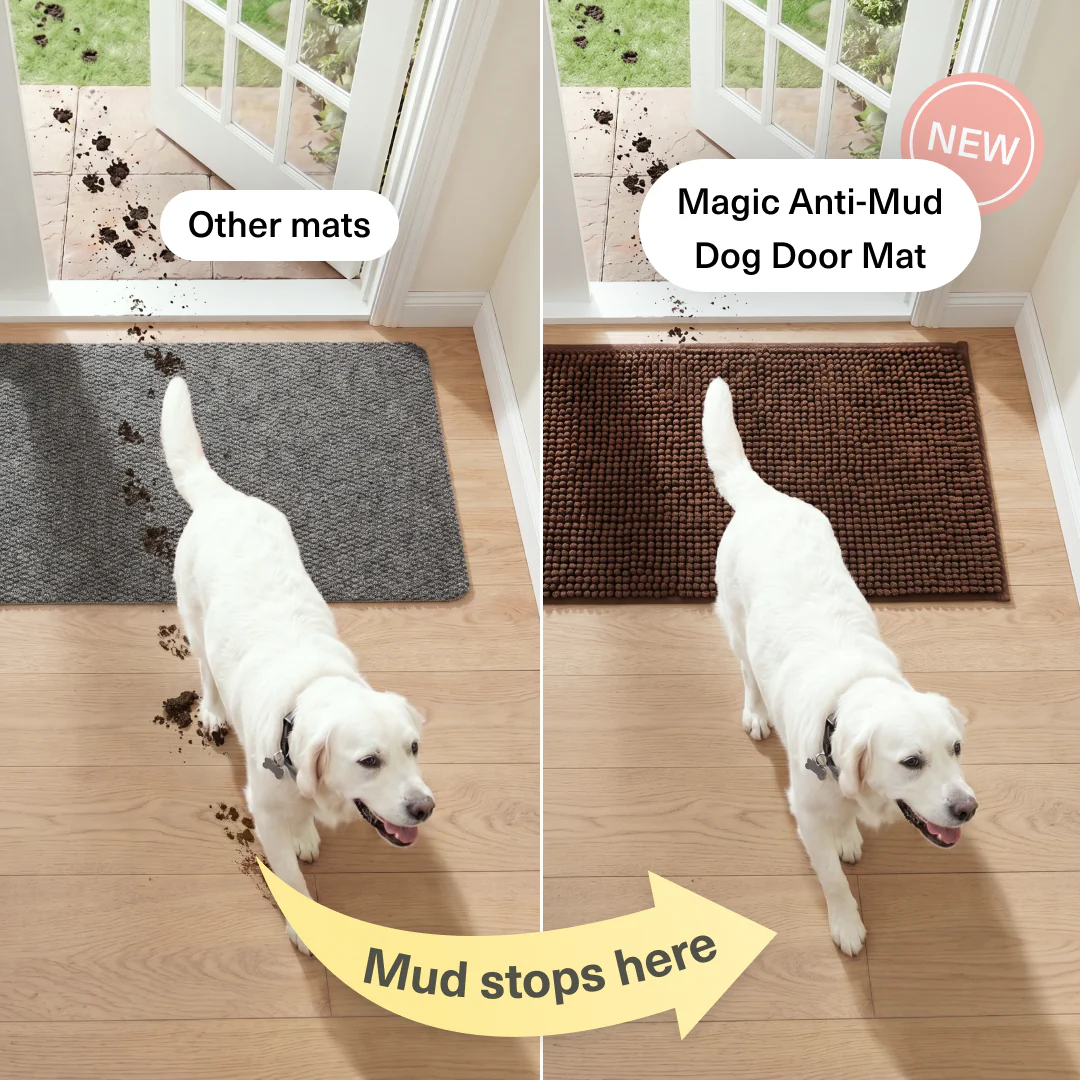 Magic Anti-Mud Dog Door Mat | 20x31 - Image 7