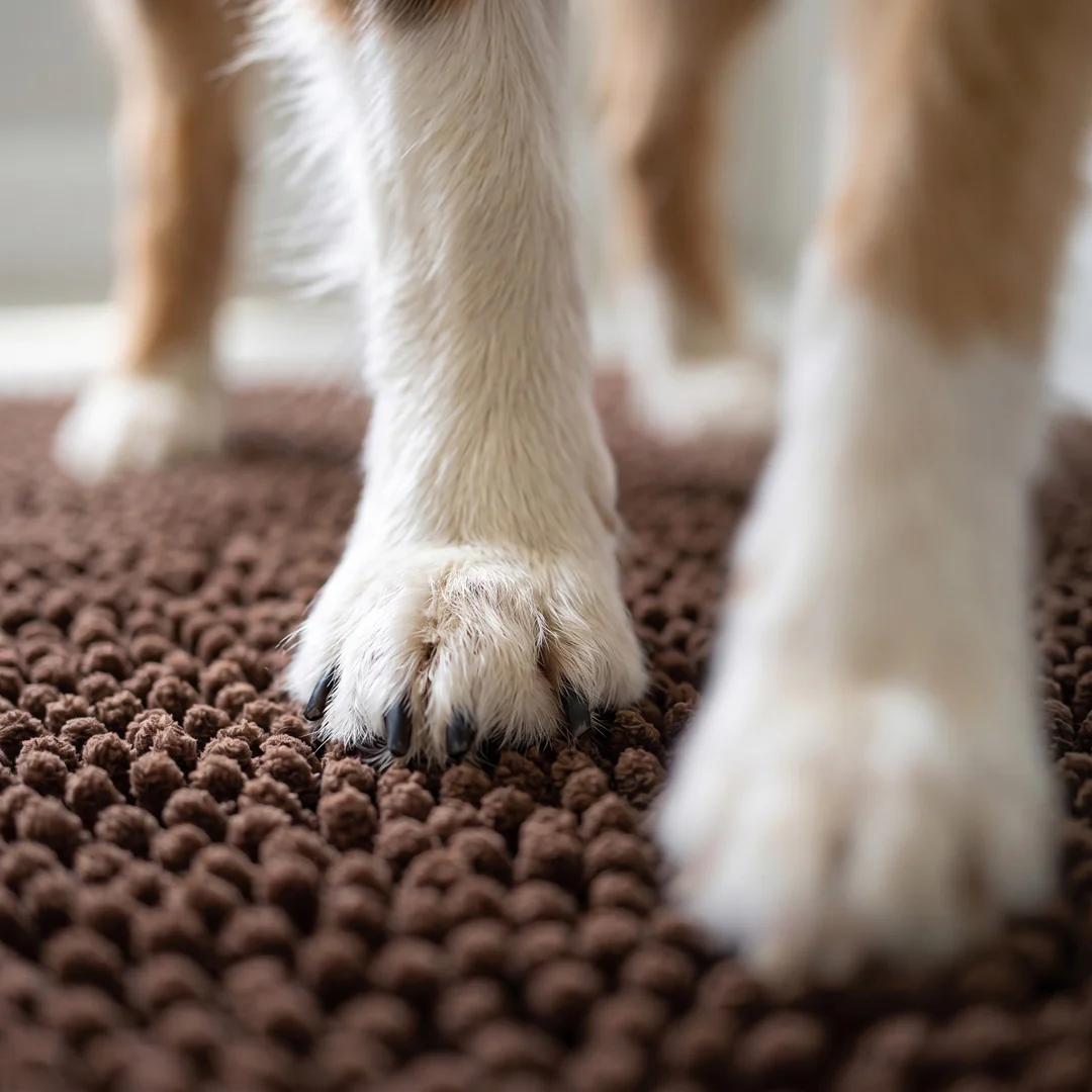 Magic Anti-Mud Dog Door Mat | 20x31 - Image 8