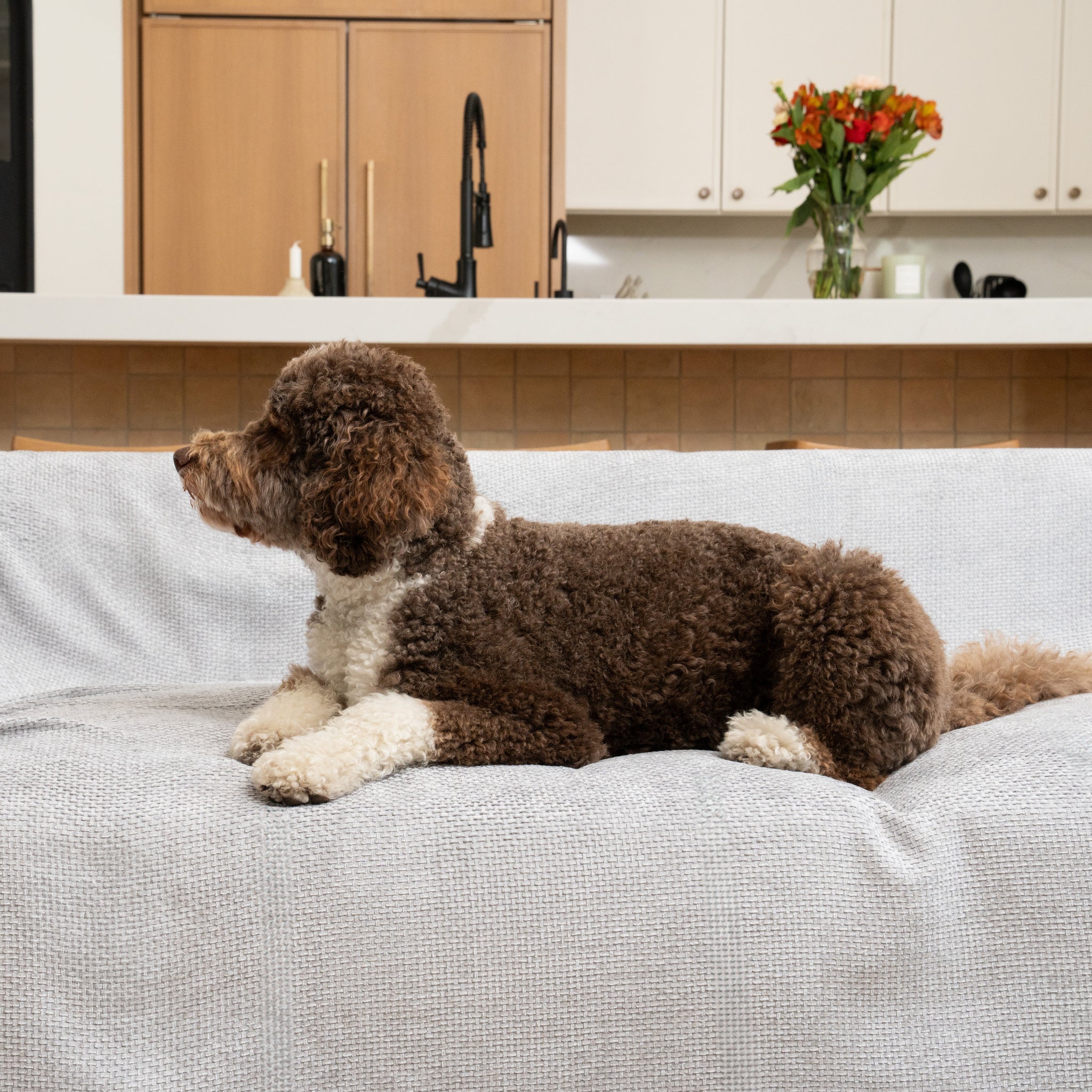 Magic Sofa Blanket - Luca Knit - Image 5